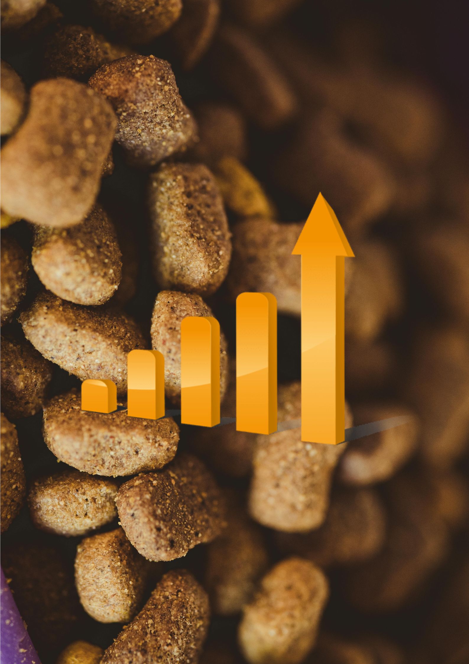 Pet food market: analysis and results